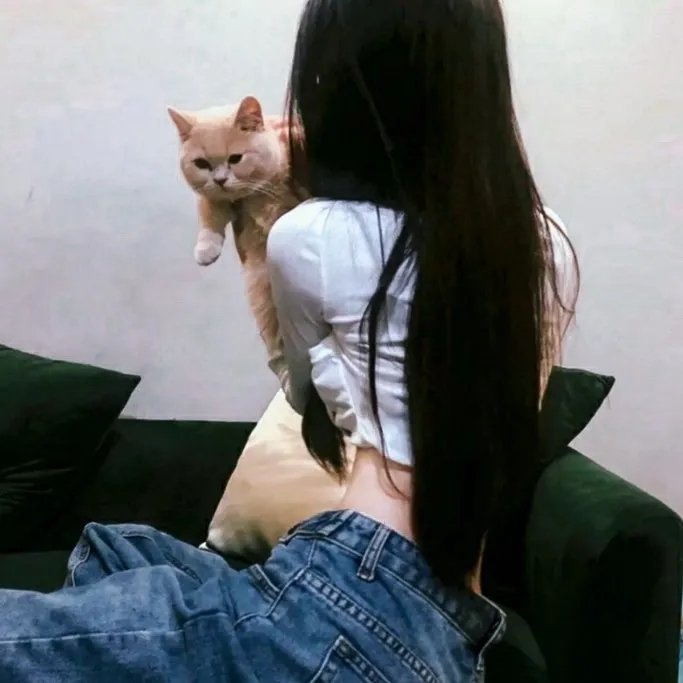 汉考克与琼恩